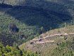 Жахливі вирубки лісів у горах Закарпаття