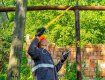 Газовики Закарпаття захистили "честь мундира" у Чернівцях 