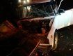 Таксі з пасажиркою "утрамбувалося" в дерево у столиці Закарпаття