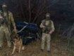 У Карпатах прикордонний пес вивів на слід 18-річного "товариша" контрабандистів