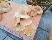 В Ужгороді на "Зеленому ринку" все ще продають білі, червоні гриби та унікальні, за якими "ганяються" у Європі