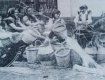 Закарпаття. Виготовлення кошиків із лози в селі Іза, 1968 рік.