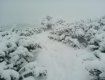 Неймовірна снігова диво-казка у Карпатах