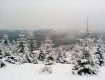 Неймовірна снігова диво-казка у Карпатах