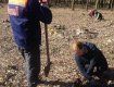 Берегівський лісгосп на Закарпатті. весна квапить садити молоді деревцята