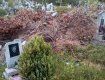 Мешканці Закарпаття щороку несуть «гори сміття» покійним родичам