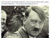 Во Львове учительница истории отмечает день рождения Гитлера
