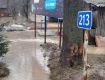 Непогода в Закарпатье: дожди подтапливают дома и дороги