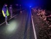  В Закарпатье 24-летняя волынянка насмерть сбила пешехода - ловили по ориентировке