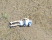За день из реки Тиса в Закарпатье достали тела 3 уклонистов