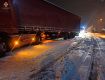Без света 35 населенных пунктов: снегопад и сильный ветер наделали бед в Закарпатье