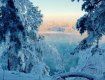 В сети опубликовали фото зимних Карпат