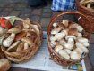 "Говорите, через 2 недели зима?": Рынки в Ужгороде заполонили грибы