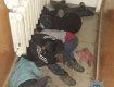 Ужгородские патрульные спасли детей, которые почти замерзли ночью