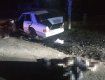 ДТП с «Mercedes» на Закарпатье: 29-летний водитель погиб на месте, пассажир в больнице 