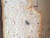В Закарпатье местная жительница купила хлеб с тошнотворным "сюрпризом"
