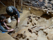 Винодел из Австрии наткнулся в погребе на кости мамонта