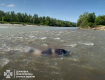 В Закарпатье пограничники обнаружили утопленника: тело несло вдоль берега Тисы