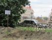 Ужгородці збиратимуть врожай овочів на площі в центрі Ужгорода
