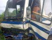 Женщина скончалась, двоих людей увезли: На трассе "Киев-Чоп" рейсовый автобус протаранил легковушку