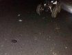 В Закарпатье разбился насмерть водитель квадроцикла