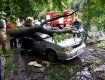 В Виноградово дерево упало на автомобиль с женщиной-водителем
