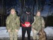Семь уклонистов поймали за выходные на границе в Закарпатье 
