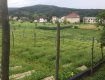 Первая улиточная ферма в Закарпатье