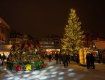 Рождественская ель на Домской площади в Риге, Латвия.
