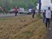 Жуткое ДТП произошло в Закарпатье: Место водителя раздавило от удара 