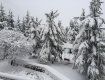 Первый снег на Закарпатье