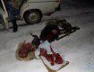В Воловецком районе Закарпатья поймали трех браконьеров