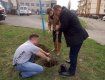 В Ужгороде высадили аллею гинкго билоба