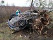 В Закарпатье трагическое ДТП - двое людей погибли