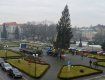 В Ужгороді встановили головну новорічну ялинку Закарпаття