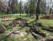 Ротари парк в Ужгороде хотят застроить кафе и ресторанами?