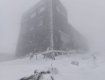 Пізній травневий сніг сильно "похурделив" в горах на Закарпатті