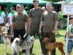 В Киеве за награды боролись охотничьи собаки из Закарпатья
