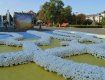 Площу Народну в столиці Закарпаття прикрасить велетенська карта України і тризуб із живих хризантем
