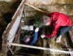 Елітний сорт тягне на 5 мільйонів: В Закарпатті відшукали підземну наркоплантацію