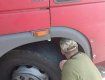 В Закарпатье на границе у "бедолаги" конфисковали грузовик