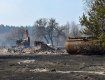 Разбушевавшийся огонь в Житомирской области уничтожает леса и села