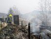 В Закарпатье из-за сжигания сухостоя едва не выгорело все кладбище