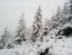 Сети делятся снимками сказочного зимнего Закарпатья: Черногорский хребет
