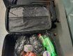 В аэропорту Борисполь взяли женскую бригаду наркокурьерш с полными чемоданами прекурсора