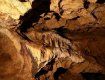 Загадочный подземный мир: Самая большая, сказочная пещера Карпат находится в буковом лесу в Закарпатье