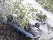 В Закарпатье пьяный водитель устроил аварию: ВАЗ на крыше заехал в реку