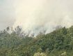 Уже сутки продолжается ликвидация лесного пожара в Закарпатье 