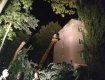 Вітер повалив дерево на багатоповерхівку в обласному центрі Закарпаття