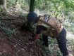 Опасную находку в лесу обнаружил житель Закарпатья (ФОТО